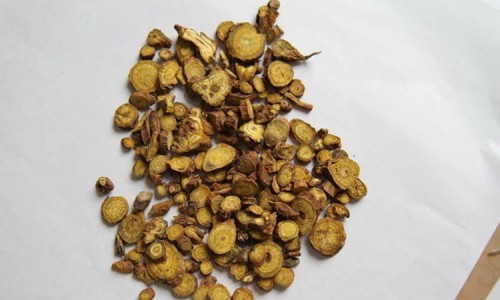 紫花地丁作用与功效专区_紫花地丁的功效与作用及禁忌专区_紫花地丁外用功效与作用网