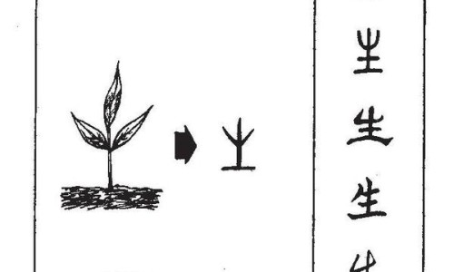 紫花地丁作用与功效专区_紫花地丁的功效与作用及禁忌专区_紫花地丁外用功效与作用网
