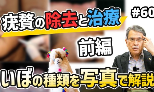 紫花地丁的功效与作用图片 皮肤病-紫花地丁作用与功效专区_紫花地丁的功效与作用及禁忌专区_紫花地丁外用功效与作用网