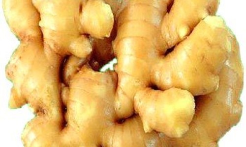 紫花地丁作用与功效-紫花地丁作用与功效专区_紫花地丁的功效与作用及禁忌专区_紫花地丁外用功效与作用网